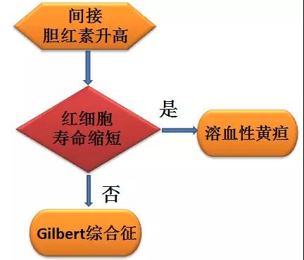 红细胞寿命测定在间接胆红素升高原因判断中的应用6