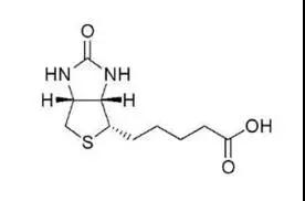 「小科普」生物素标记法测量红细胞寿命1