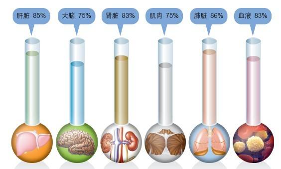 18O和2H标记水测量人体总体水量