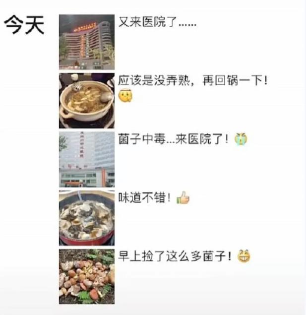 进食野生菌，不注意这几点，很容易进医院“躺平”3