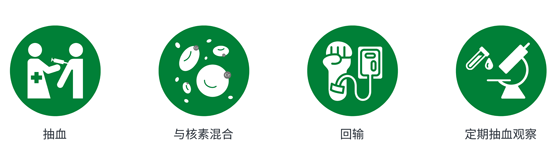 红细胞寿命检测的发展史以及如何检测红细胞寿命02