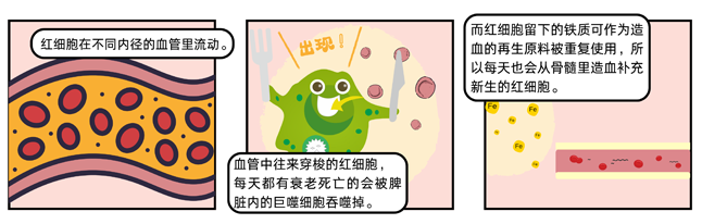 为什么会发生溶血？溶血要如何检测01