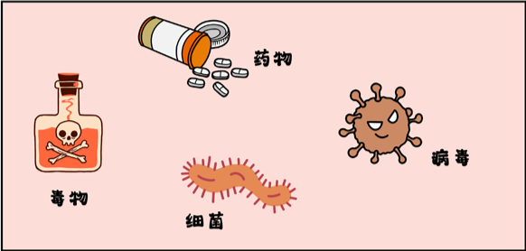 为什么会发生溶血？溶血要如何检测04