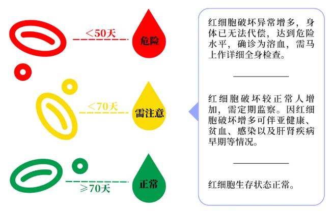 红细胞寿命可以预警早期疾病，是真的吗3