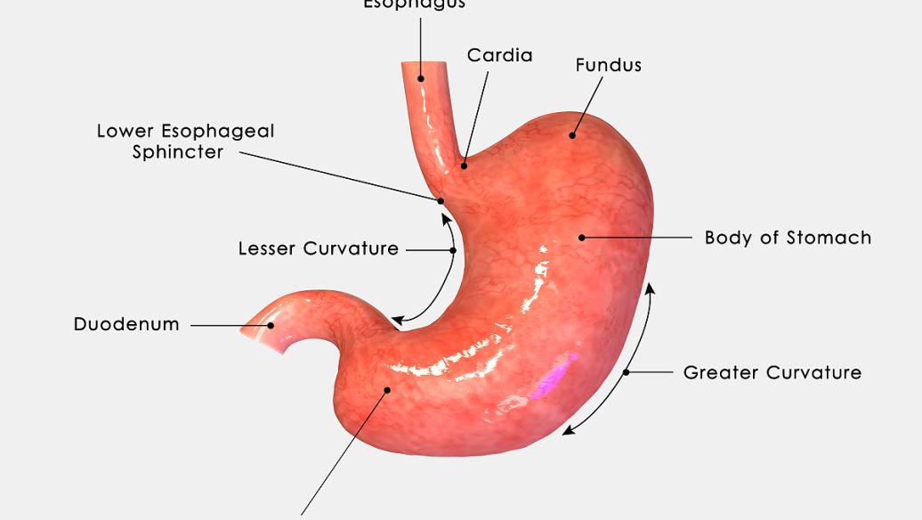 Breath Test Gas Patterns in Inflammatory Bowel Disease with Concomitant Irritable Bowel Syndrome-Lik